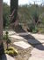 Landscape Design West and Sonoran Gardens<br/>
for The Davis Residence Contemporary Desert Landscape<br/>
Judges Award for Residential Redesign