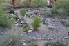The Pond Gnome<br/>
Mesa Community College, Red Mountain Campus<br/>
Award of Excellence