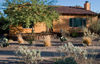 Xerophytic Design (Photograph by David Hewitt) for Stiles Residence<br/>
Award of Excellence for Residential Installation