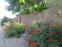 City of Chandler<br/>
Knox Road Landscape and Wall<br/>
Award of Distinction<br/>