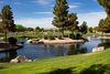 Genesis Landscape Solutions<br/>
Maricopa Meadows Homeowners<br/>
Award of Excellence<br/>