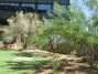 AAA Landscape for the Scottsdale Nationwide (Award of Excellence)