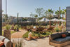 BrightView Landscape Service for Tierra Luna Spa at Arizona Biltmore Resort (Award of Distinction)