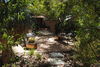 Xerophytic Design (Photograph by David Hewitt) for Weksler Project<br/>
Award of Excellence for Residential Maintenance