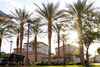 Agave Environmental Contracting, Inc for the Fincher Fields at Solana Town Center (Award of Excellence)