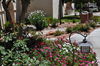 ValleyCrest Landscape Maintenance<br/>
Los Abrigados Resort & Spa<br/>
Award of Excellence