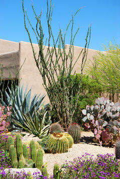 Photo Gallery | Arizona Landscape Contractors Association
