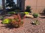 HMI Commercial Landscape for Maricopa County Facilities - Facilities Management Building (Award of Distinction)