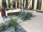 Coconut Contracting<br/>
Re-design and Install of JD Courtyard at the MIM<br/>
Award of Excellence<br/>