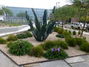 HMI Commercial Landscaping<br/>
Maricopa County<br/>
Award of Distinction