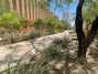 HMI Commercial Landscaping for Maricopa City Court Houses-South Tower (Award of Distinction)