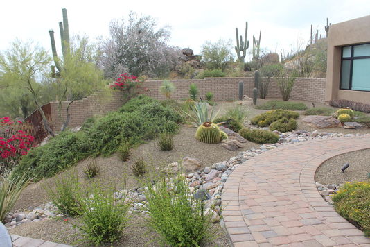 Photo Gallery | Arizona Landscape Contractors Association