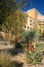 The Groundskeeper<br/>
JW Marriott Tucson Starr Pass Resort & Spa-Pool Landscape Renovation<br/>
Award of Distinction
