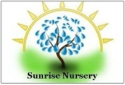 Sunrise Nursery, LLC